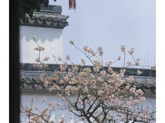-拙政园