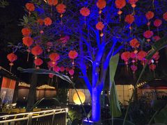 -二荆条·蜀鲜汇城市森林火锅