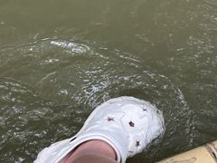 -九曲溪竹筏码头