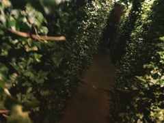 大堂-顶层酒吧ROOF(上海艾迪逊酒店)