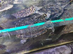 -鸿通城购物中心