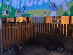 -廊坊固安福朋喜来登酒店