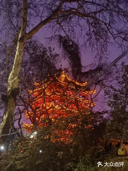 黄鹤楼公园(黄鹤楼)图片