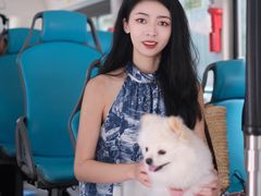 -帕帕拉兹宠物(亚洲旗舰店)