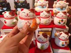 -猫咪博物馆(顶澳仔猫街店)