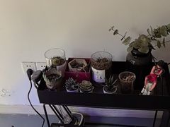 -兰拓相机租赁·维修·二手(上海店)