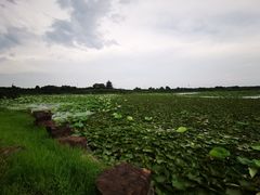 -上海海湾国家森林公园