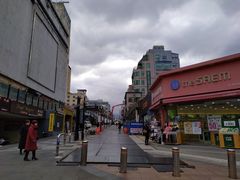 -宝健路步行街(Pedestrian Shopping Street)