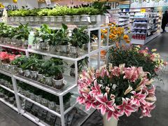 -万达广场(北京槐房店)
