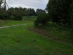 -桤木河湿地公园