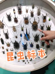 -七巧国萌宠乐园(龙湖天街店)
