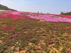 -冶父山国家森林公园
