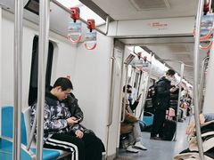 -宋家庄(地铁站)