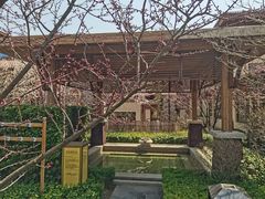 -大连金石滩绿发温泉假日酒店