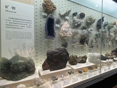 -浙江自然博物院(杭州馆)