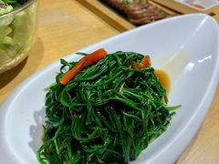 拌沙葱-蒙料·手把肉(望京店)