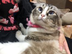 -白兔子密室(长寿路店)