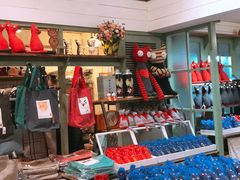 -猫咪博物馆(顶澳仔猫街店)