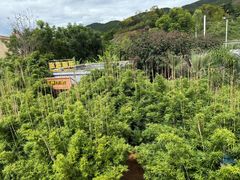 -世界恐龙谷景区