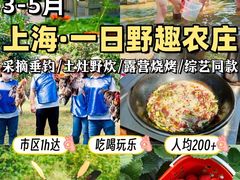 -上海山野camping·户外天幕烧烤·团建拓展营地