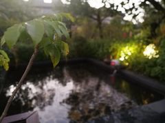-凤翔首邑温泉度假村