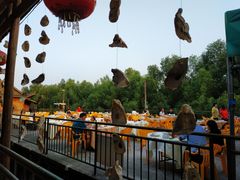 -崖口红树林海鲜餐厅