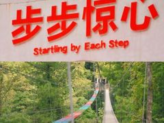 -龙岩森林水乡景区