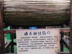 -呀路古热带植物园