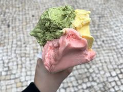 -柠檬车露(卖草地店)