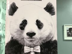 -熊猫小厨