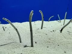 -上海海洋水族馆