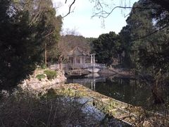 -叶家花园