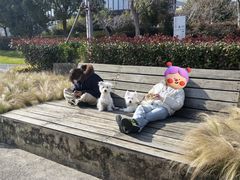 -丹东路渡口(轮渡站)