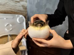 -肆月河豚·新淮扬(金融街店)