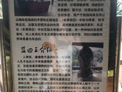 -龙达温泉生态城