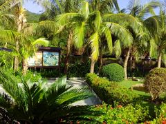 android_upload_pic-三亚亚龙湾凯莱仙人掌度假酒店