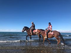 -青海湖国家重点风景名胜区