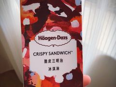 -哈根达斯(武汉天地店)