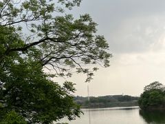 -广东花都湖国家湿地公园