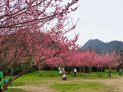 -贵阳市花溪国家城市湿地公园