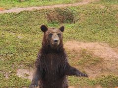 -海南热带野生动植物园