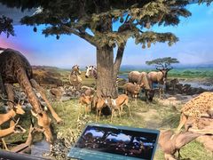 -国家自然博物馆