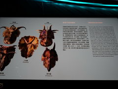 -香港科学馆