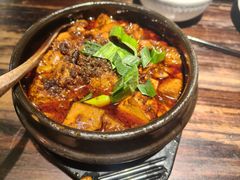 -陈麻婆豆腐(旗舰店)