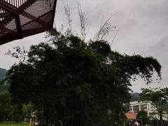-南丹山森林王国