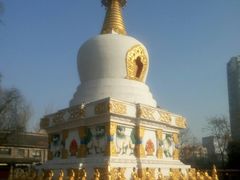 -护国法轮寺