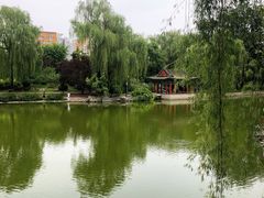 -万柳阁小馆·花园餐厅(龙潭湖店)