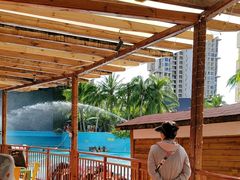 -亚马逊丛林水乐园