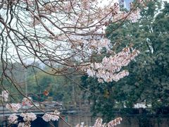-红星桥(地铁站)