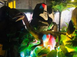 -恐龙探索乐园(磁器口店)